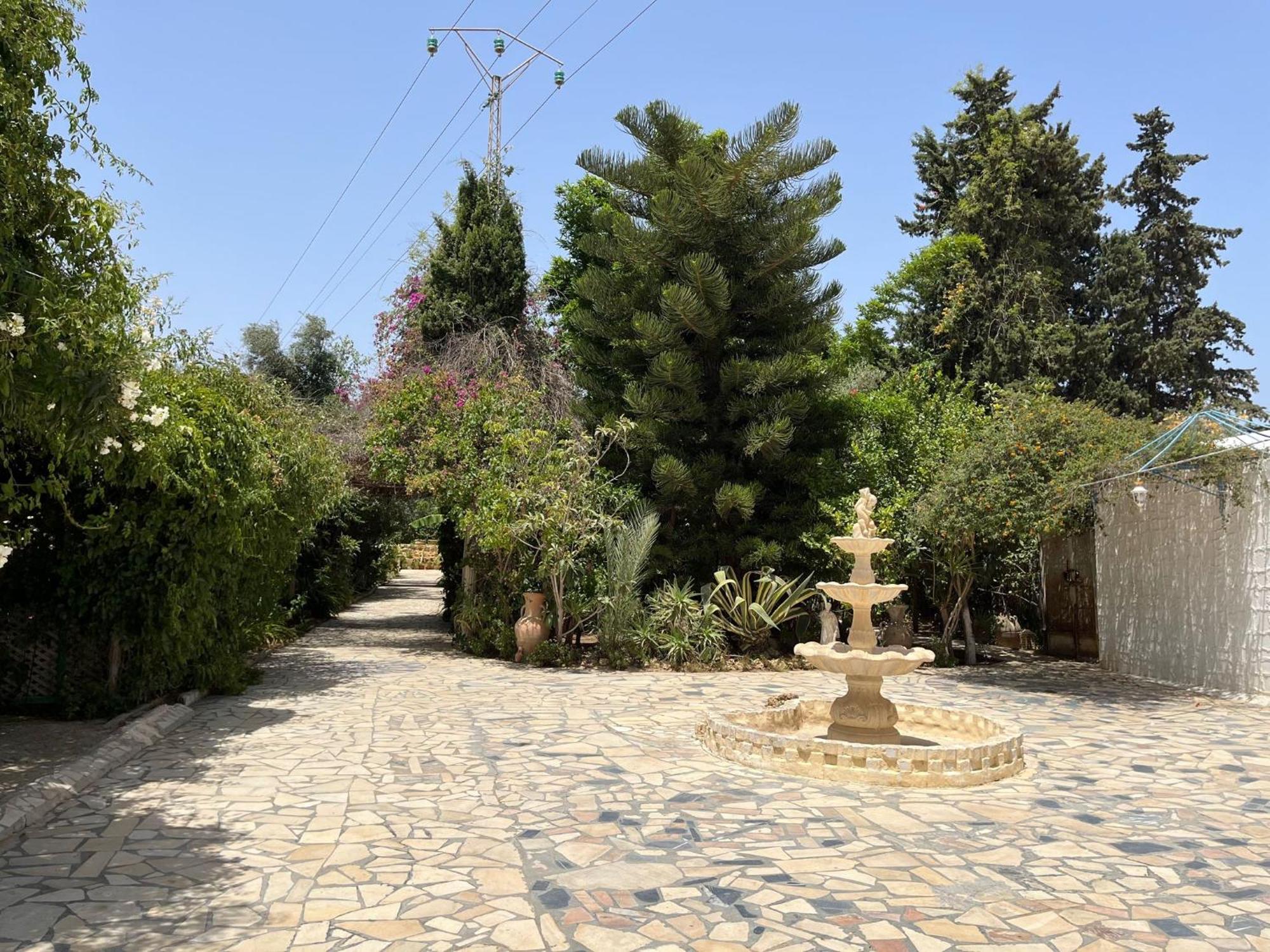 Dar Beldi Hotell Hammamet Exteriör bild